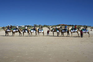 Montrose Access Glamel Trek 2014