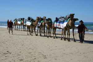 Montrose Access Glamel Trek 2014