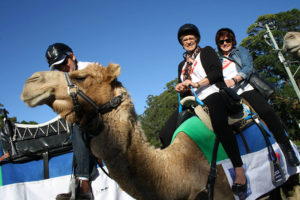 Montrose Access Glamel Trek 2014