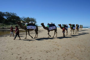 Montrose Access Glamel Trek 2014