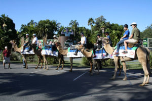 Montrose Access Glamel Trek 2014