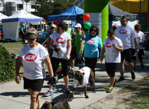 Montrose Access Walk With Me 2014